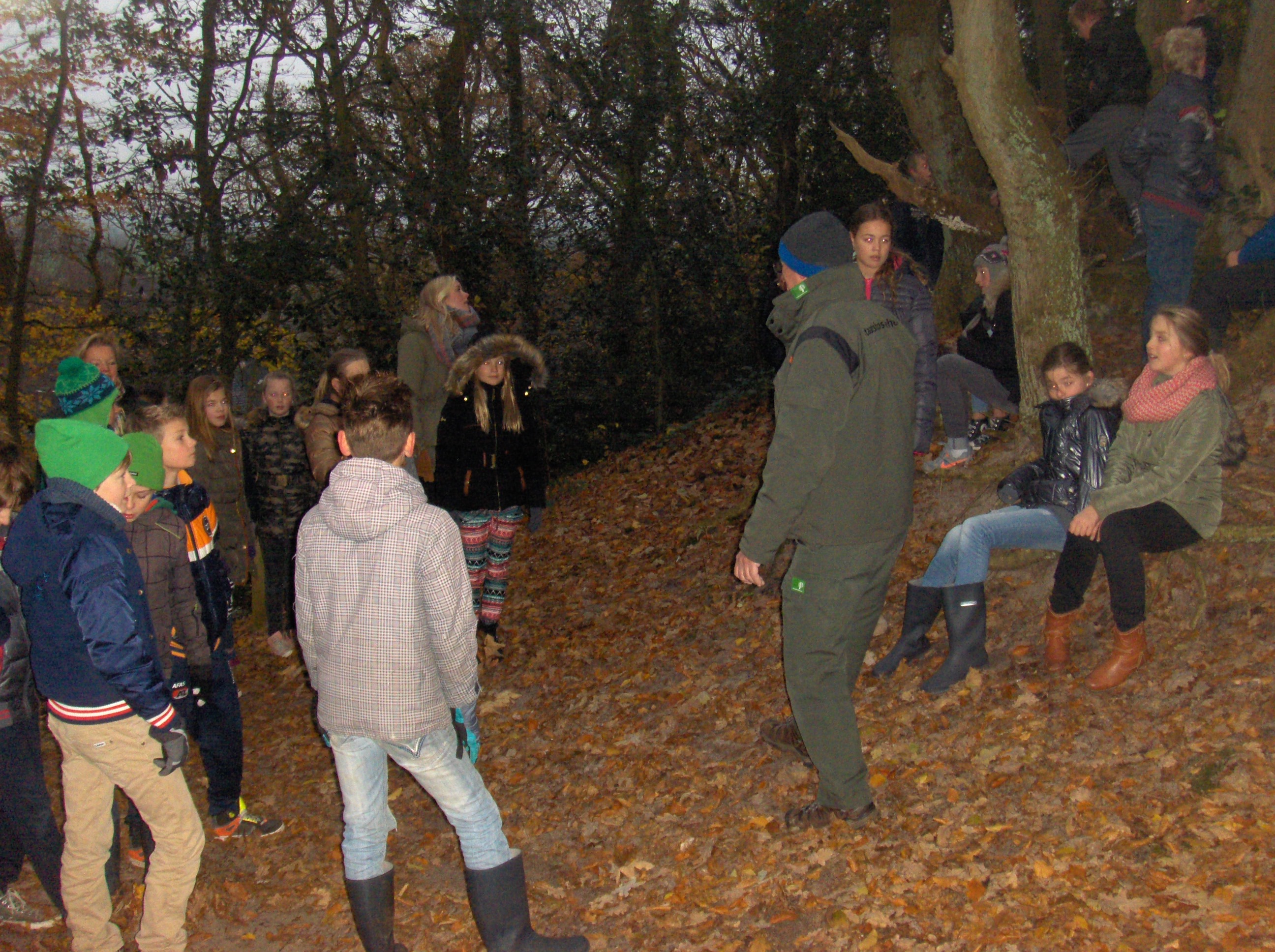 Het Klimduin en het Staatsbosbeheer.