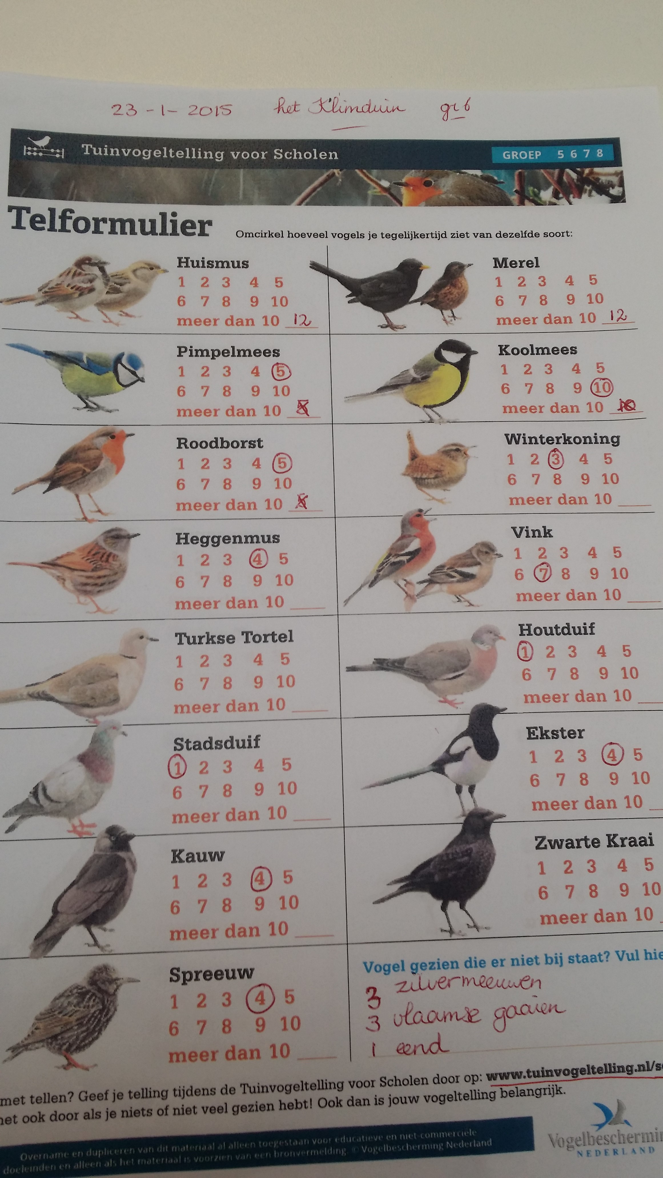 Groep 6 ziet ze vliegen.