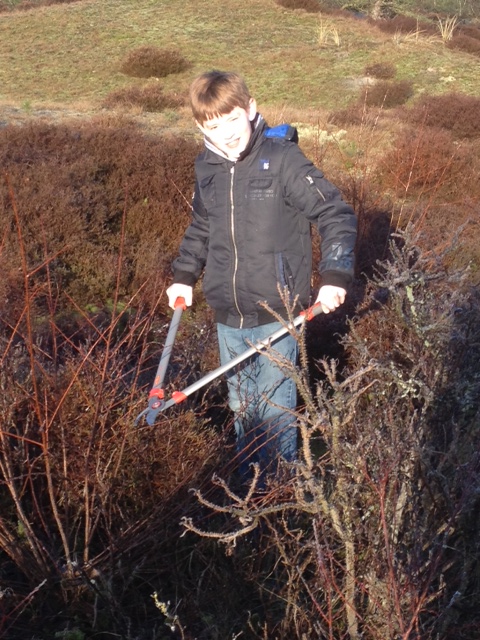 Heideveldje groep 7: