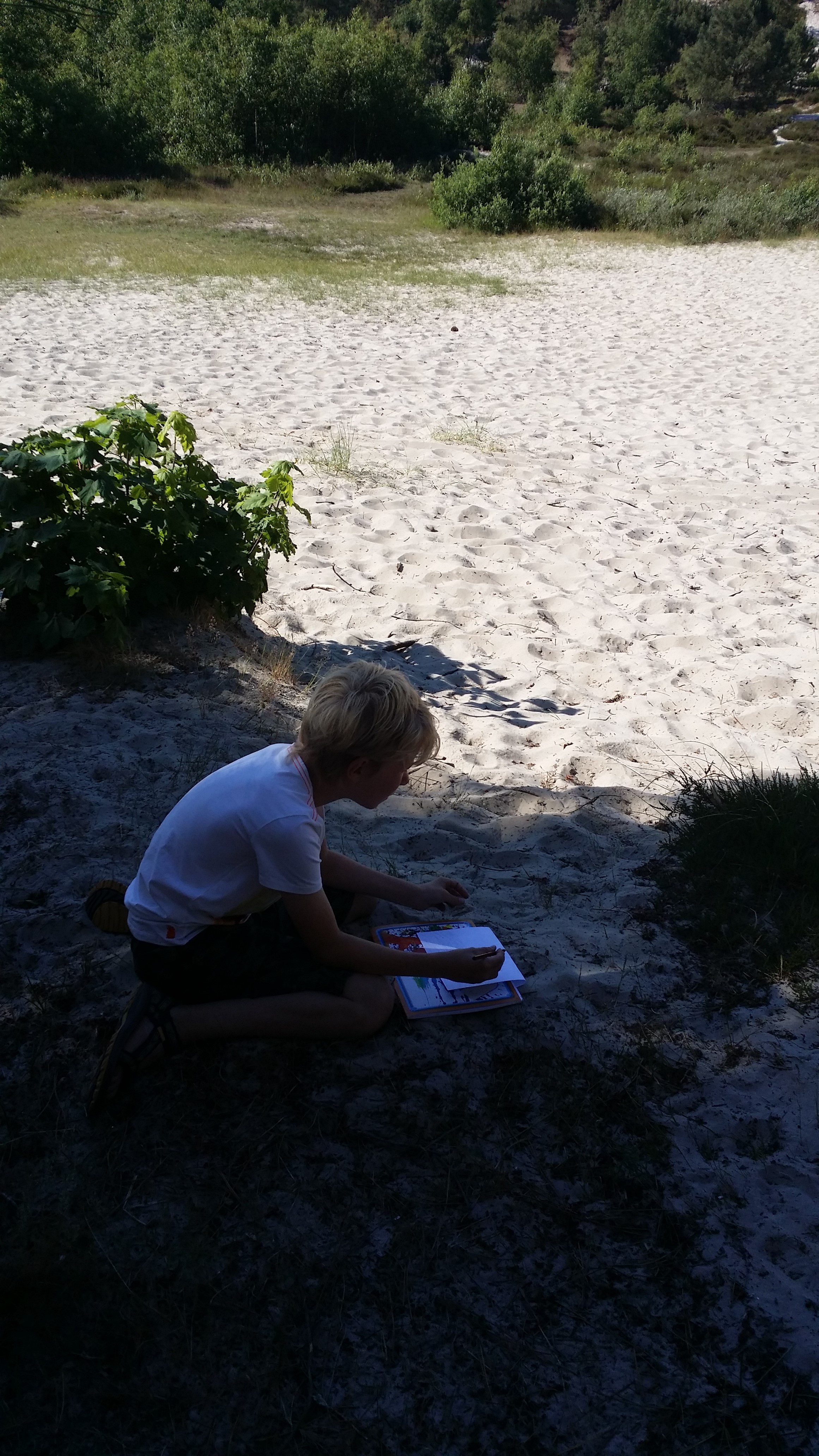 Groep 7 heeft tekenles in de duinen. 
