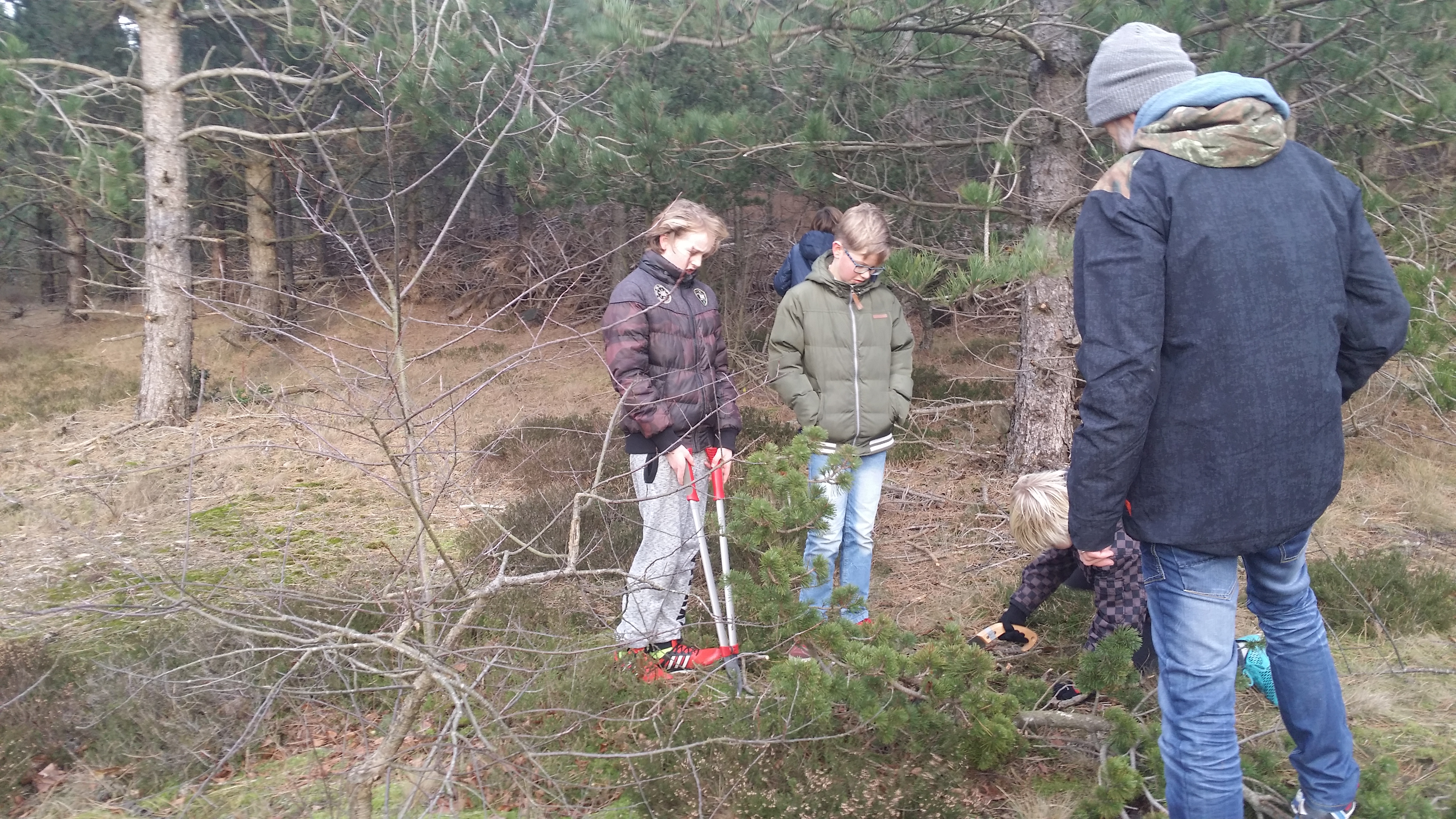 groep 7 bezoekt voor tweede keer het heideveld