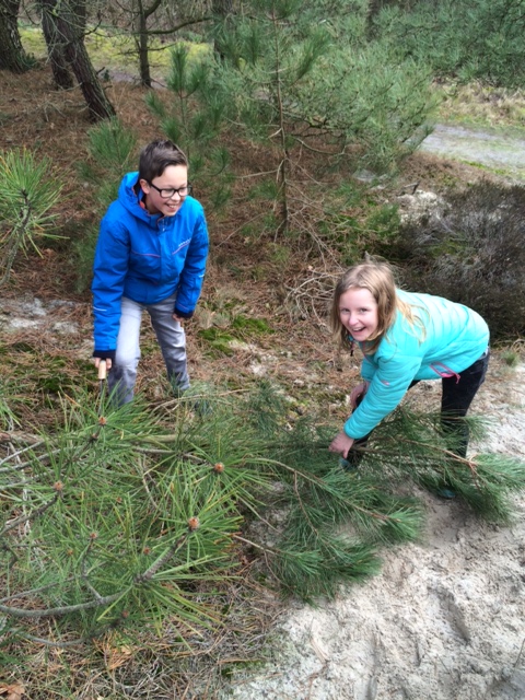 Groep 7 aan het werk.....