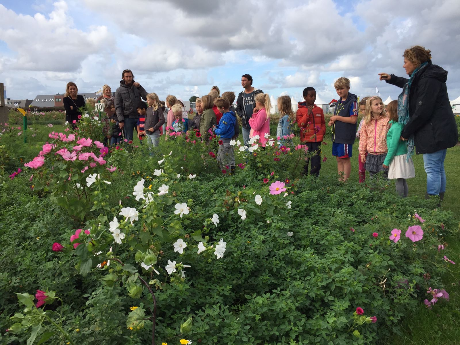 Bezoek aan Bejo Zaden